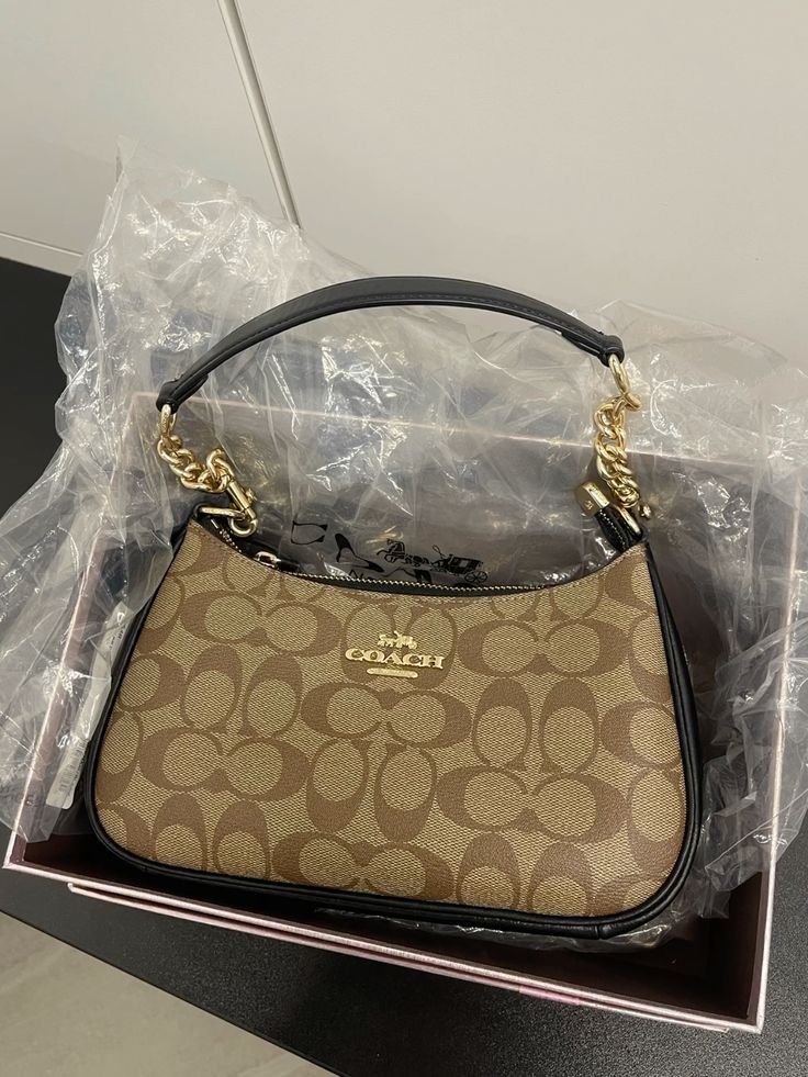 Brown Coach Bag