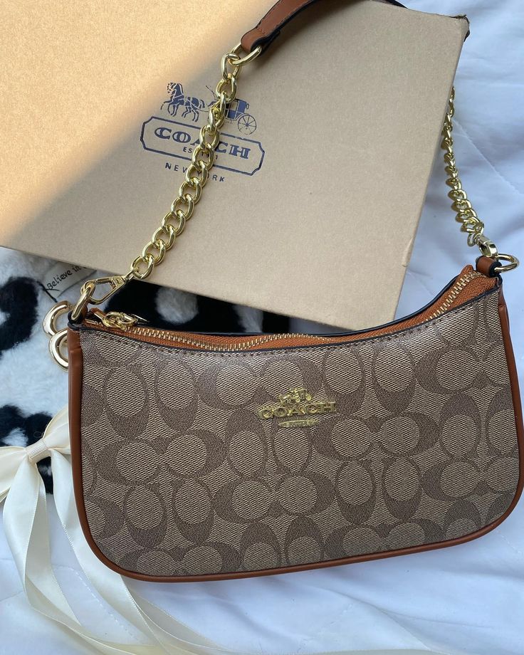 Brown Coach Bag